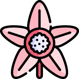 flor de tapioca Ícone