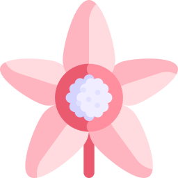 flor de tapioca Ícone