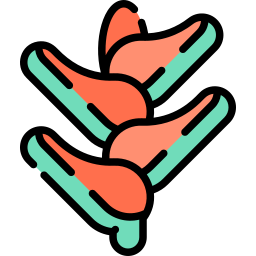 Heliconia icon