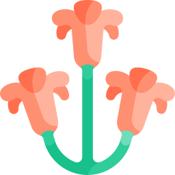 Кливия иконка