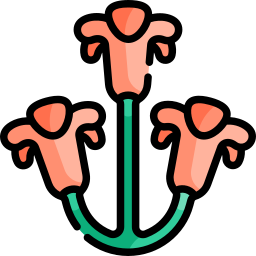 clivia icon