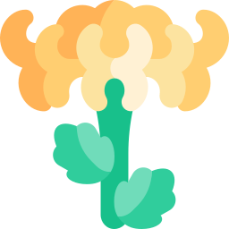chrysantheme icon