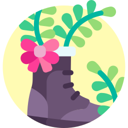 Boots icon