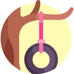 Tyre icon