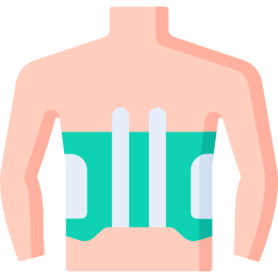 Spinal orthotic icon