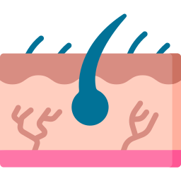 Dermatology icon