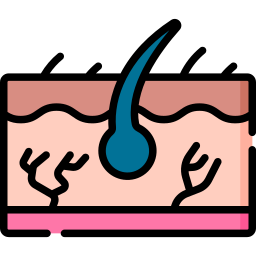 dermatología icono