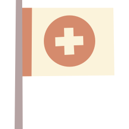 Flag icon