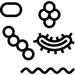 bacterias icono