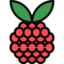 Raspberry icon