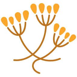 alcaravea icono