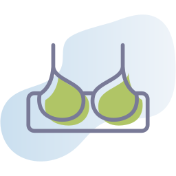 Bra icon