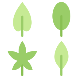 Leaf icon