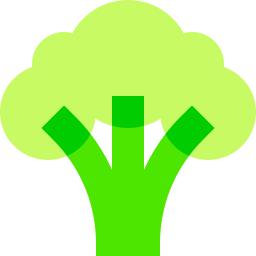 brokuły ikona