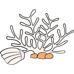 Coral icon