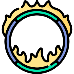 불의 반지 icon