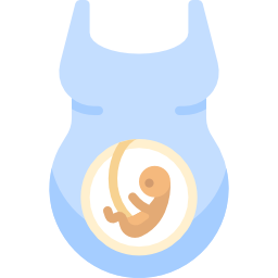 gravidez Ícone