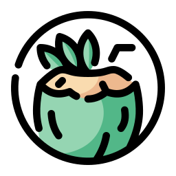 kokosnuss icon