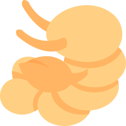 Lobster icon