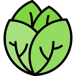 Cabbage icon