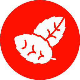민트 icon