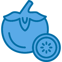 persimmon icon