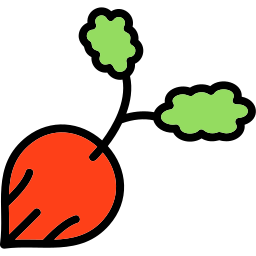 Radish icon