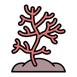Коралловый иконка
