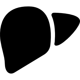 hígado humano icono