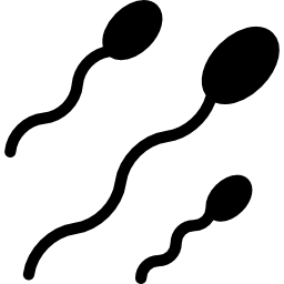 esperma humano Ícone