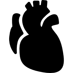 cuore anatomico icona
