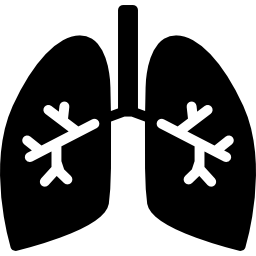 poumons avec bronches Icône