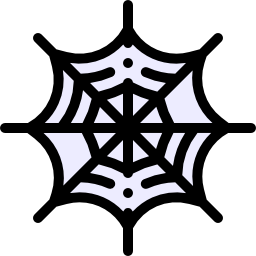 Spider web icon