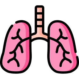 Lungs icon