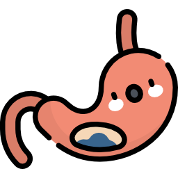 Stomach icon