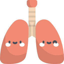 Lungs icon