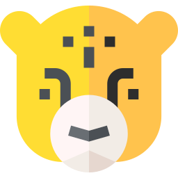 치타 icon