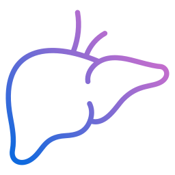 Liver icon