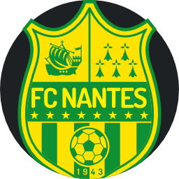 Nantes icon