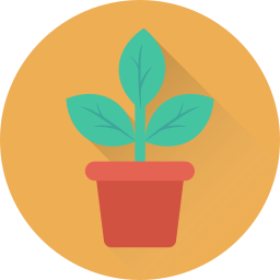 Indoor plants icon