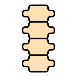 colonne vertébrale Icône