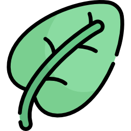 Leaf icon