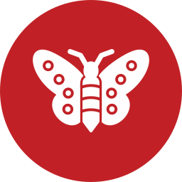 Butterfly icon