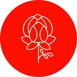 Peony icon