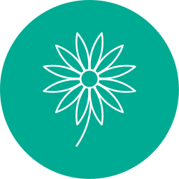 aster icono