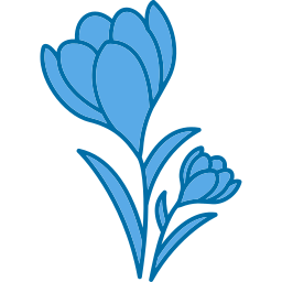Crocus icono