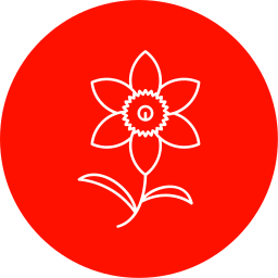 Daffodil icon