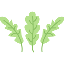 rucola icon