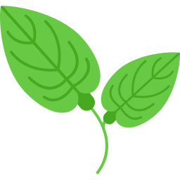 Anthurium icon