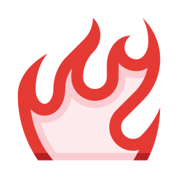 vlam icoon